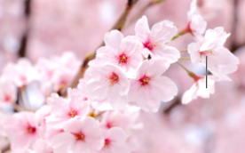 スクリーンショット 2025-04-06 154432