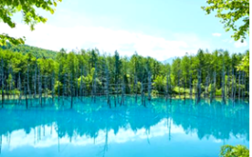 スクリーンショット 2025-05-04 111157