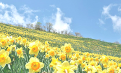 スクリーンショット 2024-05-02 23.14.29